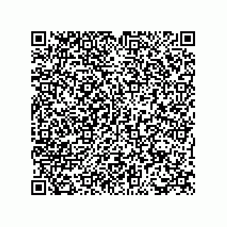 vCard 73815233128
