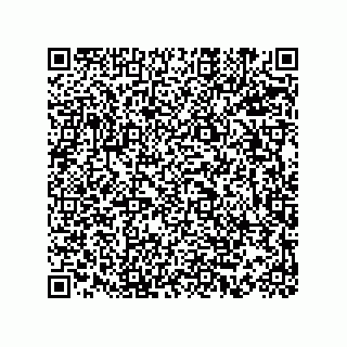vCard 73815233132
