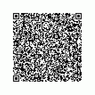 vCard 73815233133