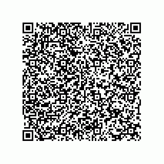 vCard 73815233139