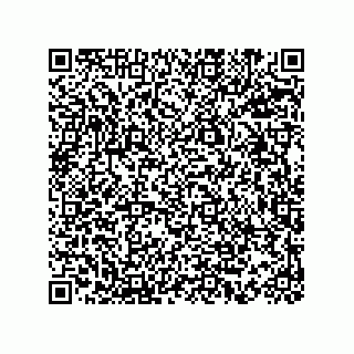 vCard 73815233140
