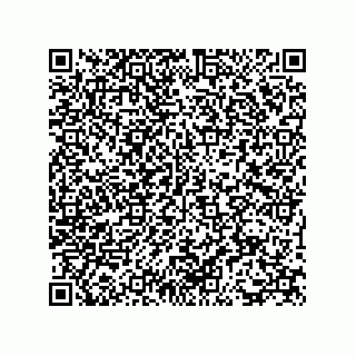 vCard 73815233152