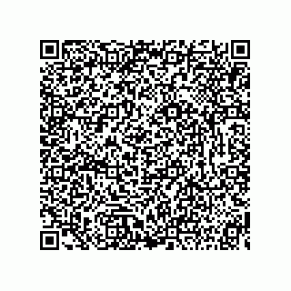 vCard 73815233199