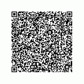 vCard 73815233202