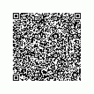 vCard 73815233203