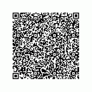 vCard 73815233205