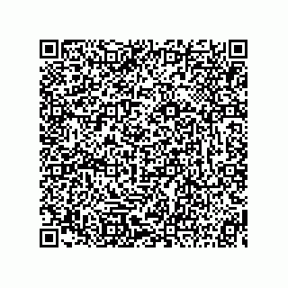 vCard 73815233208