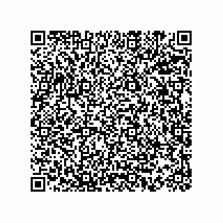 vCard 73815233249