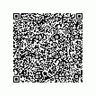 vCard 73815233285