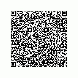 vCard 73815233294