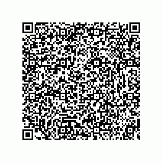 vCard 73815233341