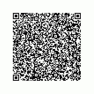 vCard 73815233377