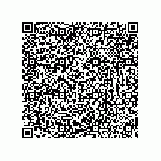 vCard 73815233379