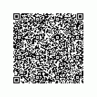 vCard 73815233385