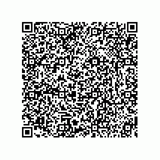 vCard 73815233441