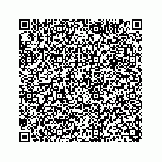vCard 73815623319