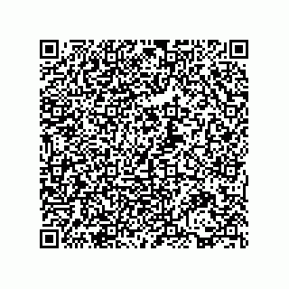 vCard 73815838212