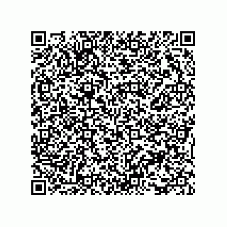 vCard 73816335199