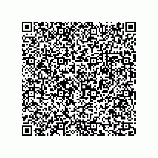 vCard 73816335203