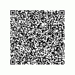 vCard 73816335204