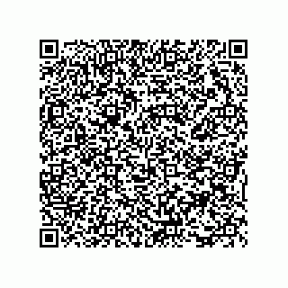vCard 73816335221