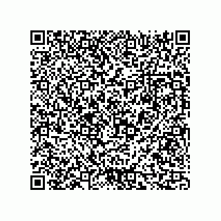 vCard 73816335253