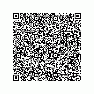 vCard 73816335259