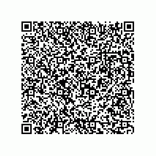 vCard 73816335272
