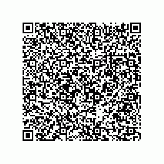vCard 73816335273