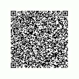 vCard 73816335277