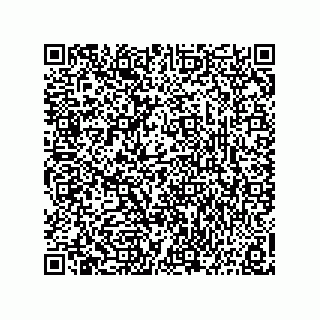 vCard 73816335281