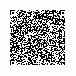vCard 73816335287