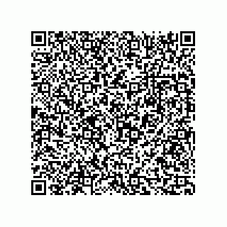 vCard 73816335294