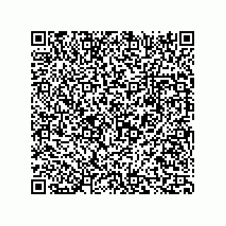 vCard 73816335295