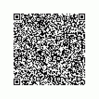 vCard 73816335296