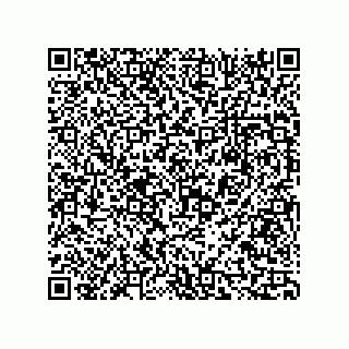 vCard 73816335297
