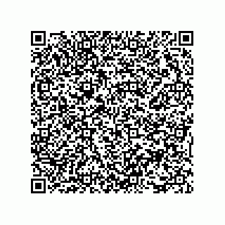 vCard 73816335299