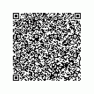 vCard 73816335300