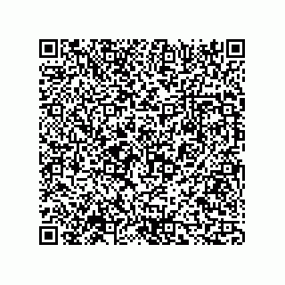 vCard 73816335313
