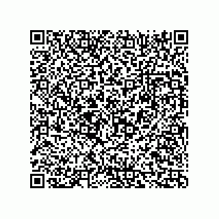 vCard 73816335315