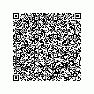 vCard 73816335319