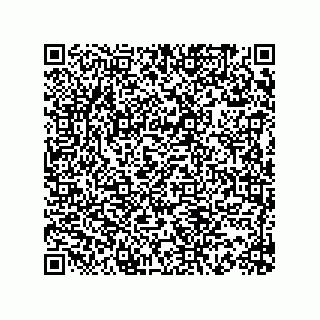 vCard 73816335335