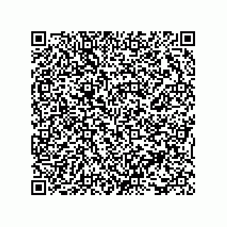 vCard 73816335355