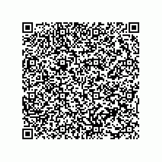 vCard 73816335371