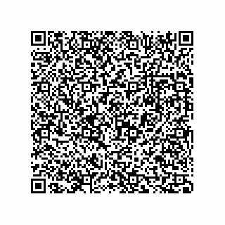 vCard 73816335381