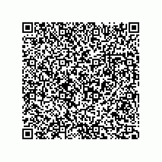vCard 73816335383