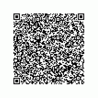 vCard 73816335385
