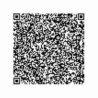 vCard 73816335388