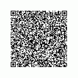 vCard 73816335389