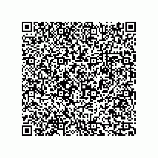 vCard 73816335394